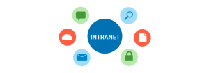 ¿Qué te puede ofrecer una intranet?