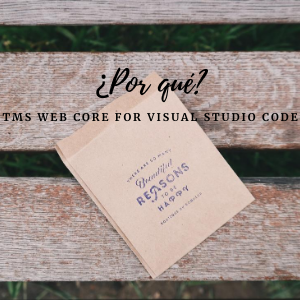 ¿por qué usar TMS Web Core para Visual Studio Code?